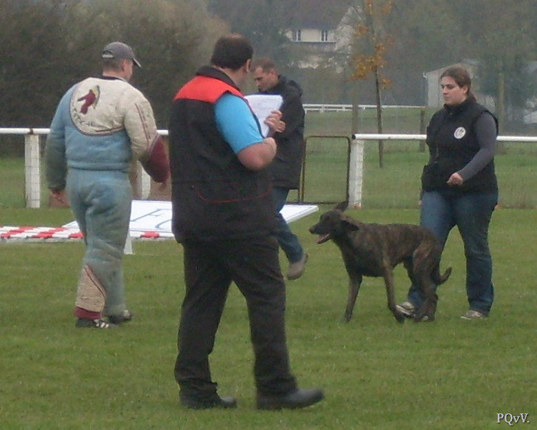  Eros des Crocs d’Olympe
